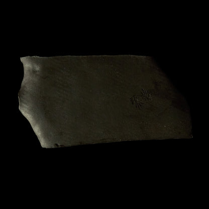 Peel Plate