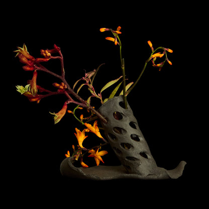 Trunk Vessel